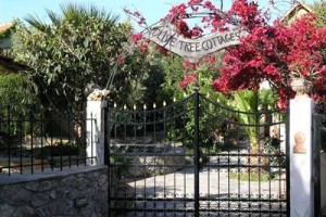 Olive Tree Cottages voted 6th best hotel in Palaiochora