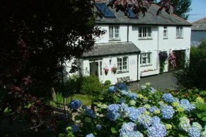 Orchard Lodge voted  best hotel in Boscastle