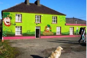 Paddy's Palace Dingle Peninsula Image