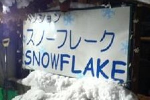 Pension Snow Flake Image