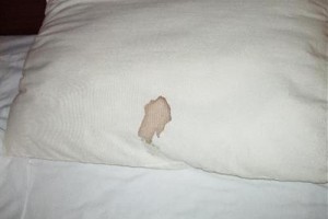 Inn of Knoxville Image