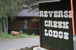 Reverse Creek Lodge Image