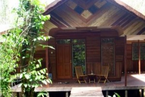 Rimba Orangutan Eco Lodge Kalimantan Image