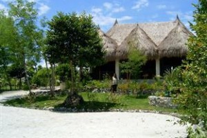 Sea Turtle House Image