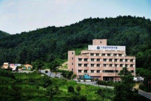 Gapyeong Seorak Tourist Hotel voted  best hotel in Gapyeong