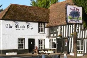 The Black Pig Bed and Breakfast Canterbury Image