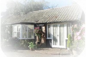 The Blue Cow Bed & Breakfast Huntingdon (England) Image