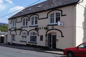 The Hendrewen Hotel voted  best hotel in Treorchy