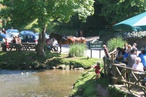 The Watermans Arms Inn Ashprington Totnes Image