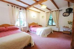 Tudor Lodge Bed and Breakfast Laragh Image