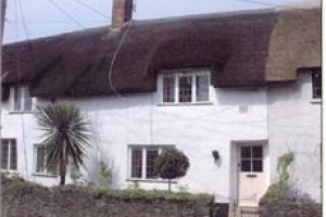 Tudor Thatched Cottage Williton Image