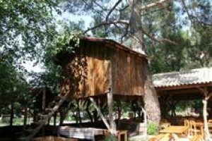 Turkmen Tree Houses voted 3rd best hotel in Olympos
