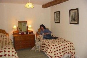 Twitchen Farm Bed & Breakfast Challacombe voted  best hotel in Challacombe