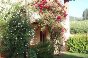 Villa Buonasera Agriturismo Greve in Chianti Image
