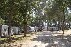 Villaggio Camping Bosco Selva Image