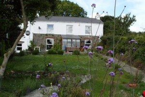 Vine Cottage Bed and Breakfast St Austell Image