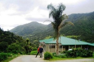 Waiotemarama Falls Lodge Hokianga voted  best hotel in Hokianga