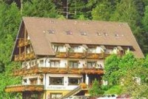 Waldhotel Palmspring voted  best hotel in Bad Peterstal-Griesbach