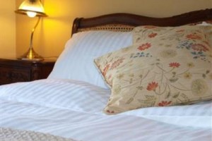 Wensleydale Farmhouse Bed & Breakfast voted  best hotel in Aysgarth