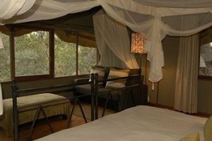 Zululand Tree Lodge Image